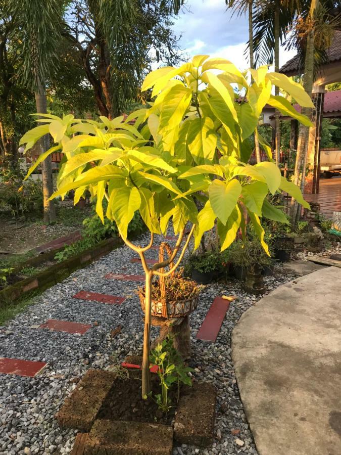 Apartamento Grandma'S House Nakhon Nayok Exterior foto